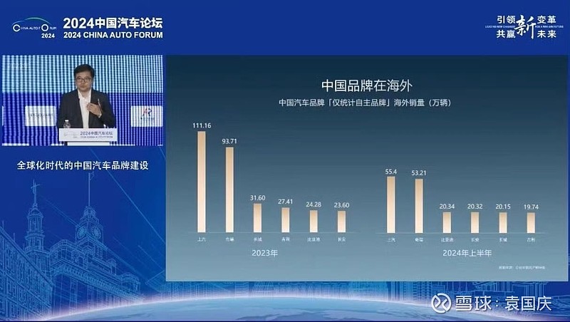2024年上半年，中国新能源汽