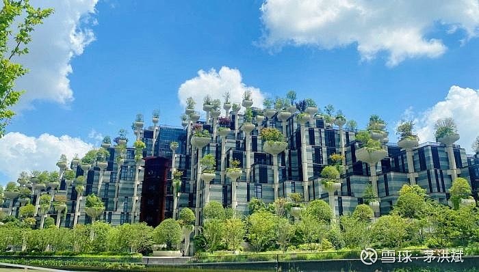 天安千树,可以说是一座与名字极