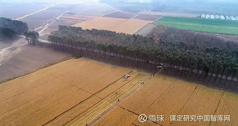 (记者李坤晓)新华社记者 杨世尧 摄 河北日报 通讯员张 晓峰 摄影报道