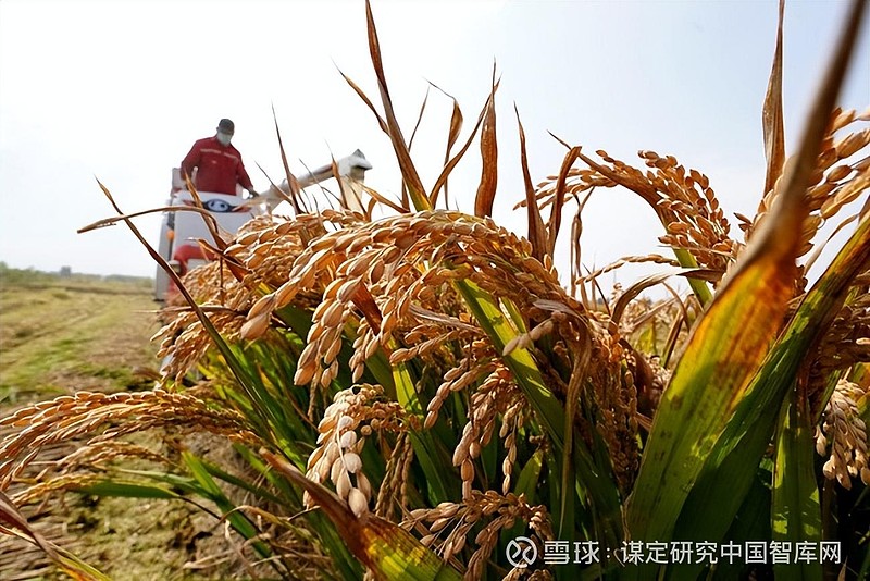 (记者李坤晓)新华社记者 杨世尧 摄 河北日报 通讯员张 晓峰 摄影报道