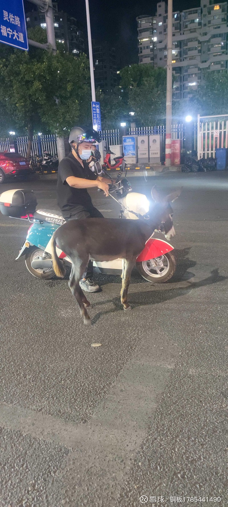 骑电驴逛小毛驴!