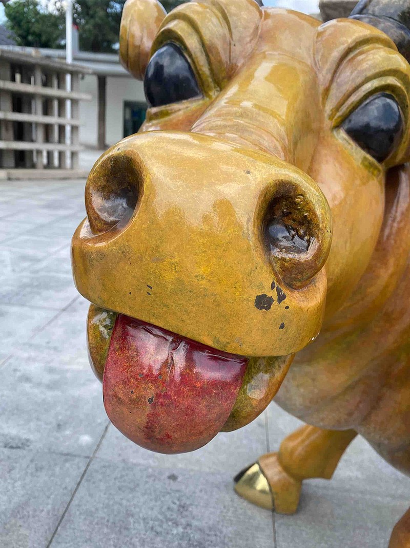 ice_招行谷子地 冰哥,牛来了,好多牛🐮$招商银行