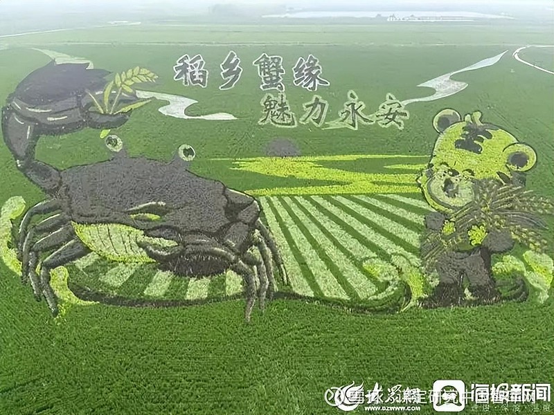 据垦利区二十八村党支部书记马光华介绍,今年稻田画相较于去年有所