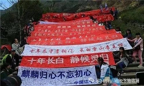 不请客吃饭的817稻米节到底是个什么节