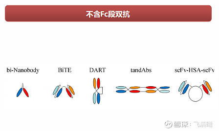 双特异性抗体的分类及作用机制 抗体圈 以下文章来源于生物报 ，作者凯恩斯 双抗的历史双抗已有60年发展历史，2014之后双抗热潮再起，随着 ...