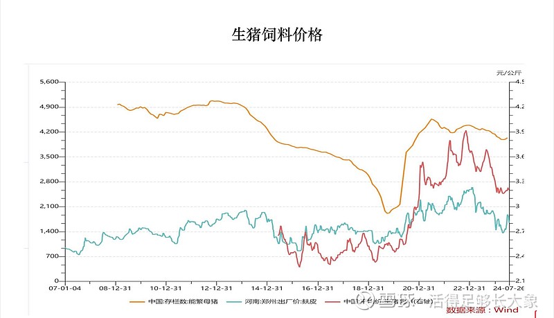 生猪养殖行业分析—中期猪价如何看?