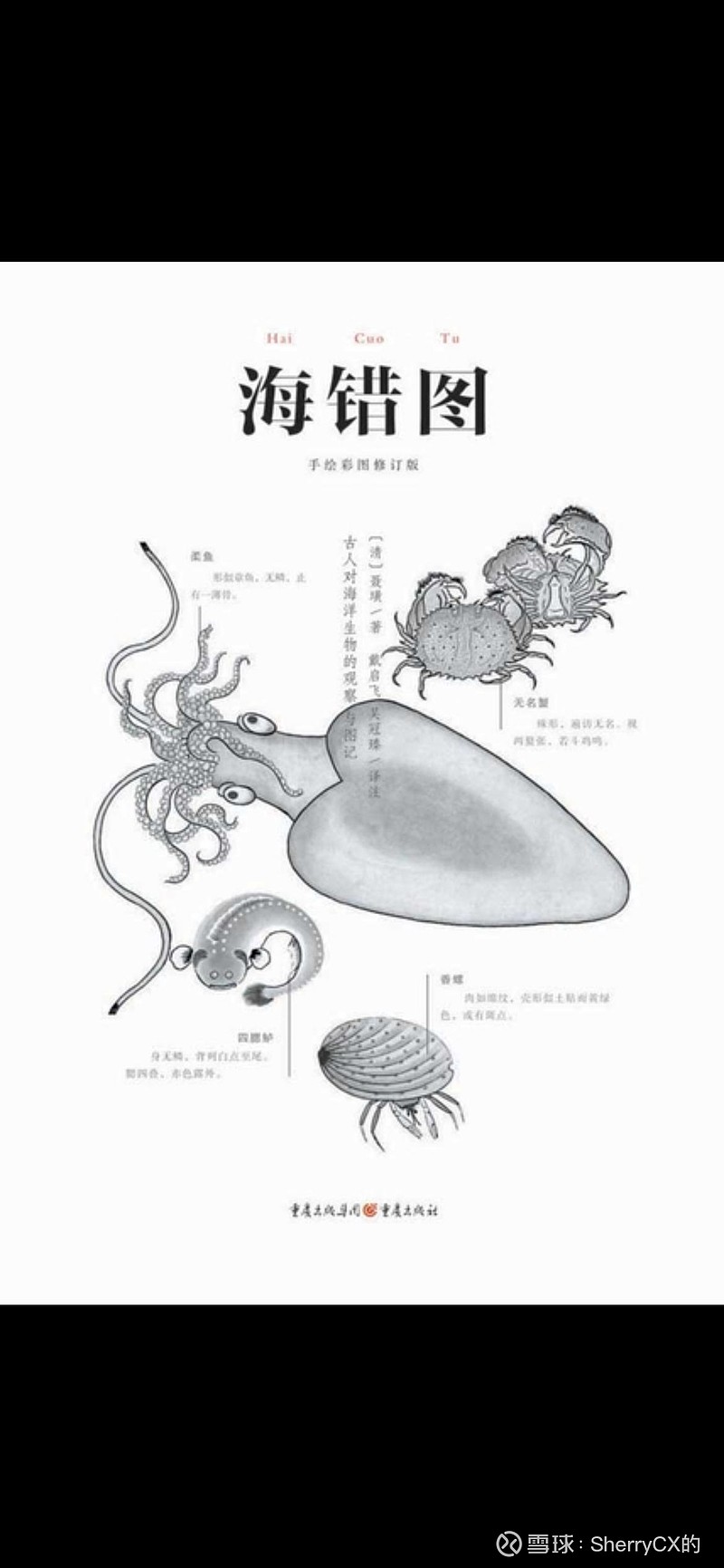 海错图手抄报图片