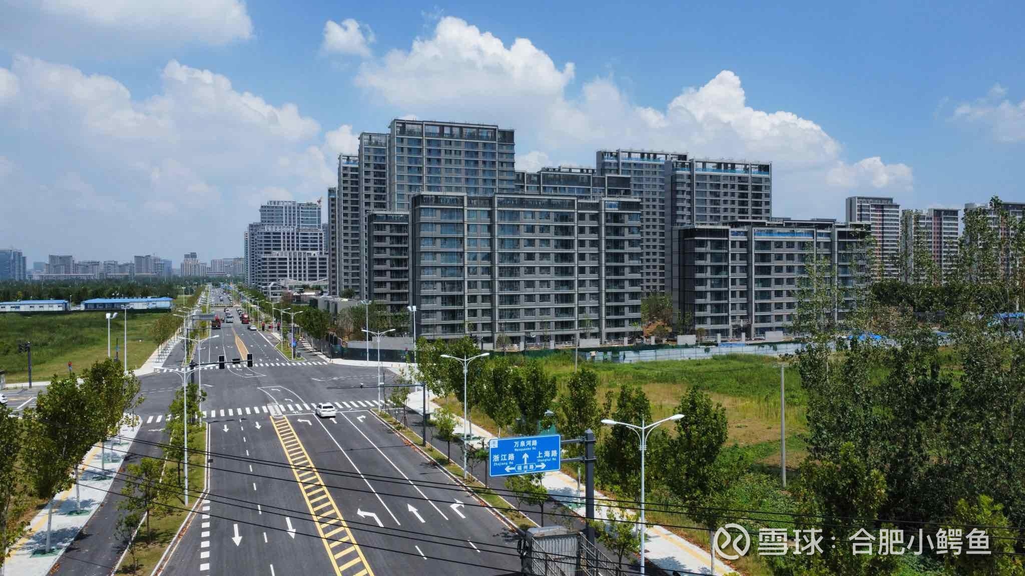 于是有了三分巢湖,治理巢湖是为了发展滨湖,滨湖发展了什么产业?