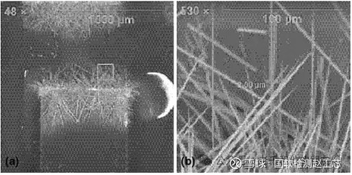 失效分析 | 电子产品上的锡须如何形成? 半导体工程师 2024年09月04日 09:54 北京 本文主要用SEM和EDS对晶须、端盖金属和 ...