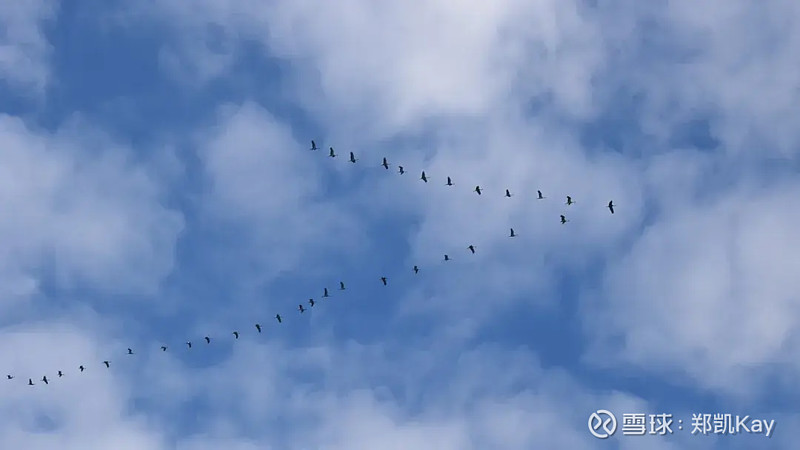 用友生态的长期主义和“雁群效应” 在传统IT时代，产品是业务最主要的承载对象，企业服务是围绕用户需求与产品连接产生的衍生品。为了让产品触及更多 ...