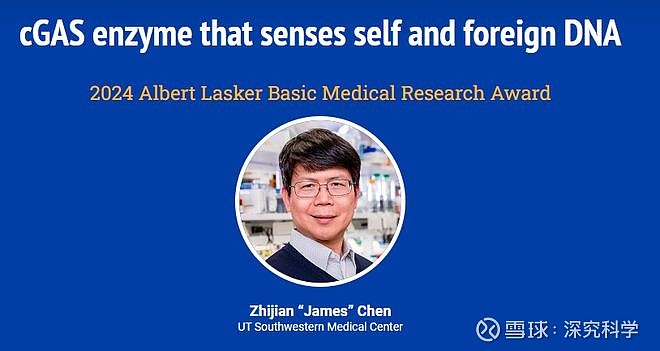 2024年拉斯克奖揭晓陈志坚获基础医学奖