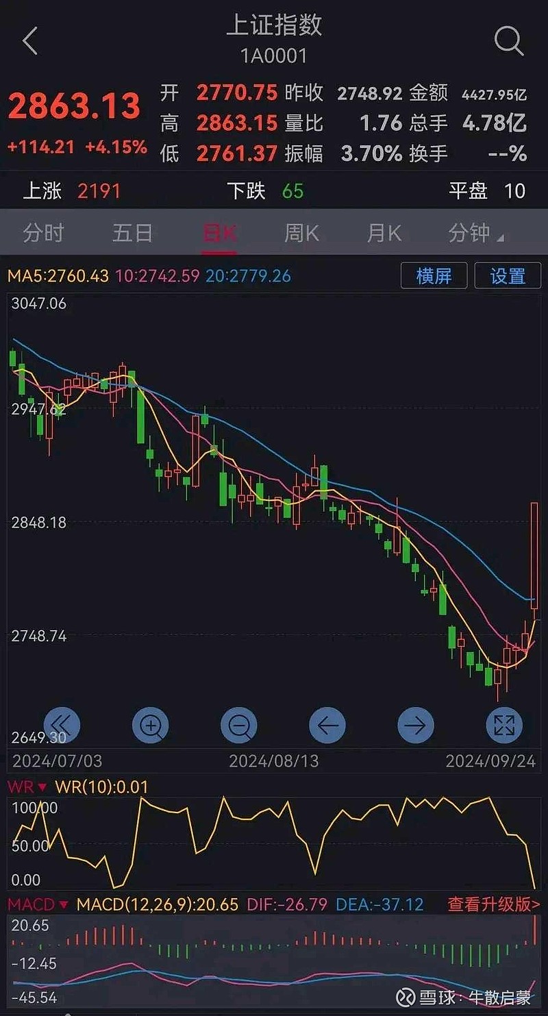 今天股票分析