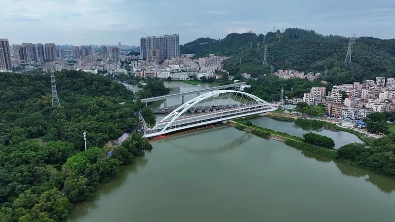 深圳罗湖大望桥重图片