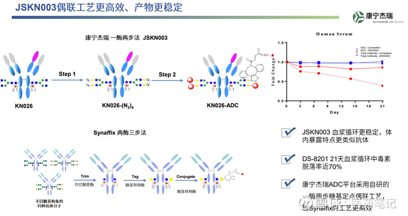 4亿元预付款：康宁杰瑞HER2双抗ADC授权给石药集团 Armstrong 2024年9月29日，康宁杰瑞宣布将HER2双抗ADC新药 ...