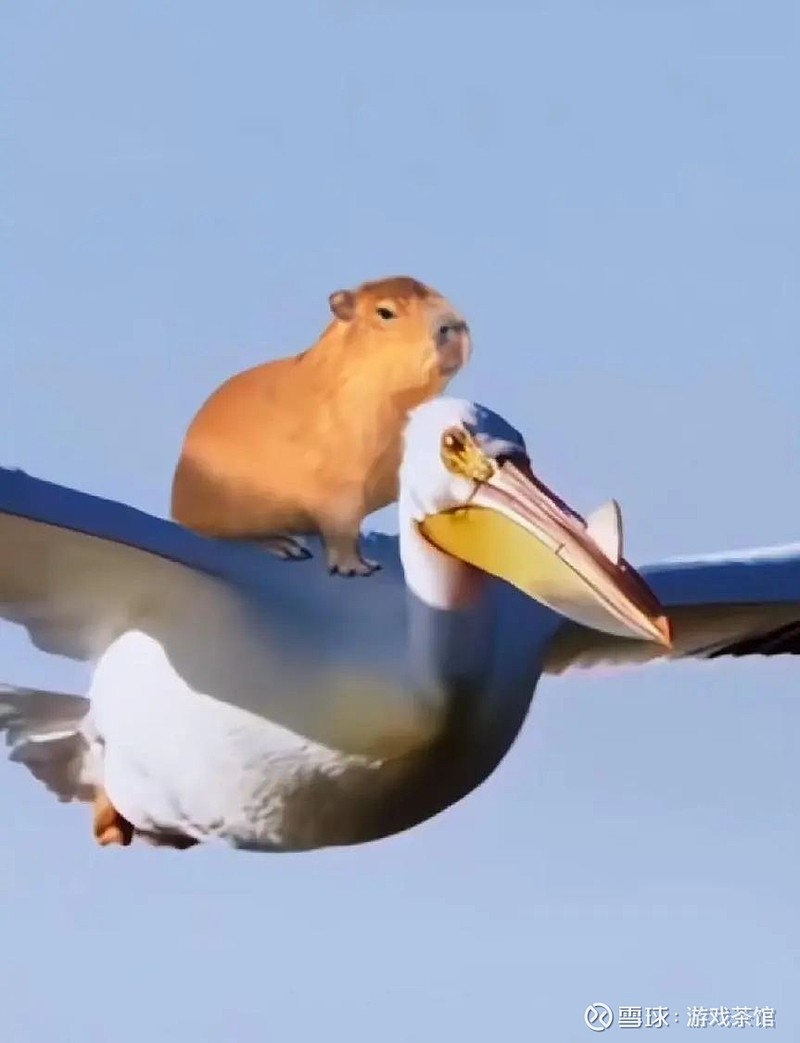 多国榜一,这个北京厂商又要起飞了