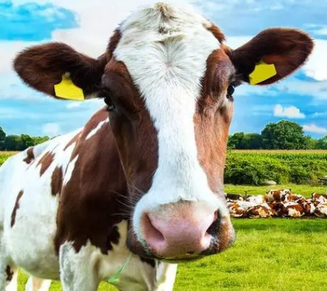 #超预期？腾讯Q3经调整净利增超3成#