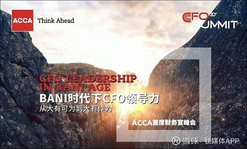 第20届ACCA CFO峰会精彩议程抢先看|实力大咖重磅来袭,共话BANI时代下的CFO领导力 2024年11月28日第二十届ACCA首席财务 ...