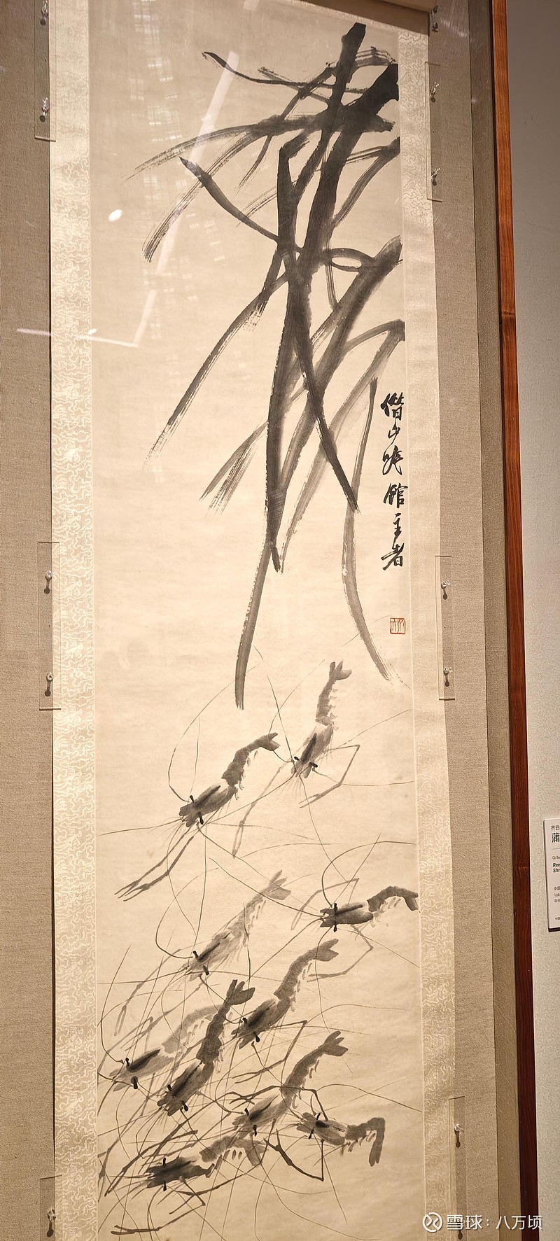 美在苍朴-中国美术馆藏吴昌硕与20世纪以来写意花鸟画家作品展 纵观中国美术史,动植物形象自古已存。彩陶、青铜器、画像石、绢帛、宣纸……皆记载着 ...