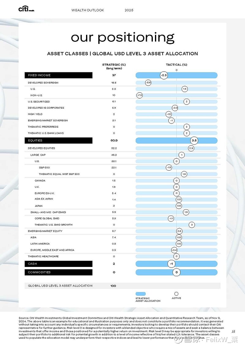 20241206 CITI 2025 Wealth Outlook growth amid discord strategies