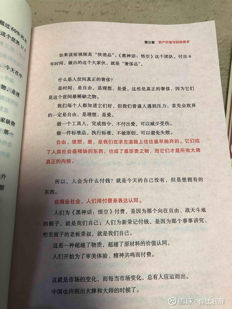 梁宁:为什么以前中国没有奢侈品牌,而现在产生了黑神话游戏,因为需求的变化 - 雪球