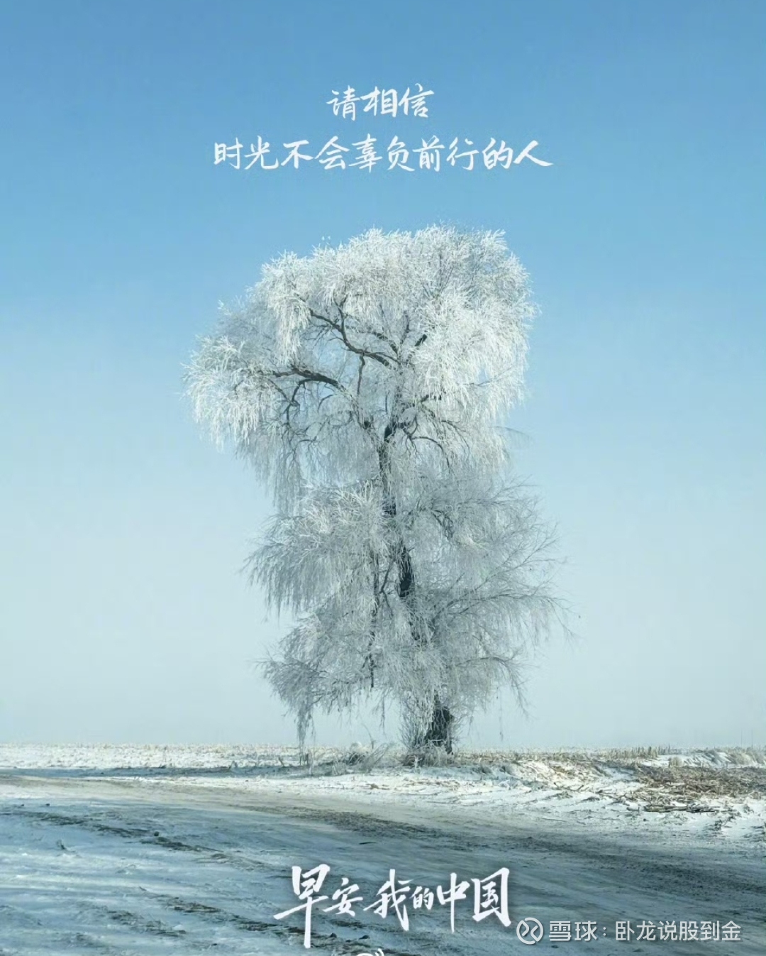 云计算板块龙头股票_最新云计算板块龙头股票信息 - 雪球