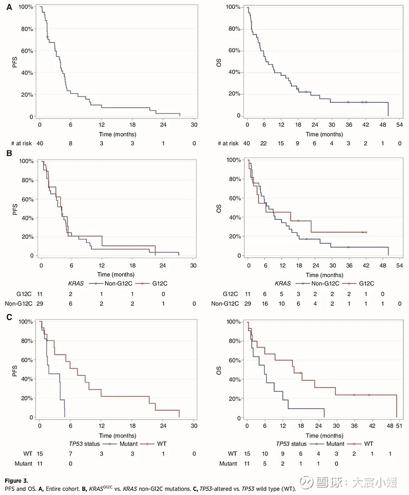 $德琪医药-B(06996)$ 塞利尼索+多西他赛用于经治KRAS突变晚期NSCLC，TP53野生型患者结局显著更优 ... - 雪球