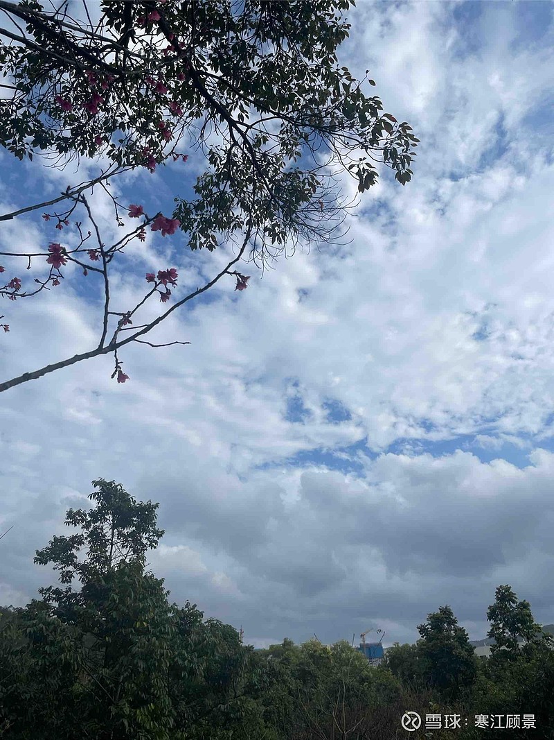 最好的状态是销声匿迹（转） 曾仕强教授说：人最好的状态就是销声匿迹，半隐半藏，自我沉淀。在繁华中自律，在落魄中自愈。生活...