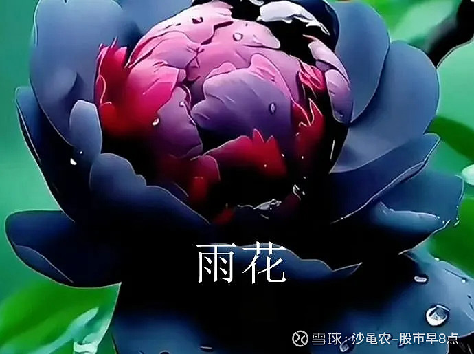 3.14股市早8点丨拒绝三连阴·来一根周阳 拒绝三连阴来一根周阳股市早8点 老沙自媒体2025年3月14日(周五)每日大道正道信息 道指 跌超 ...