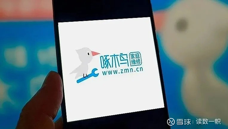 啄木鸟维修被查