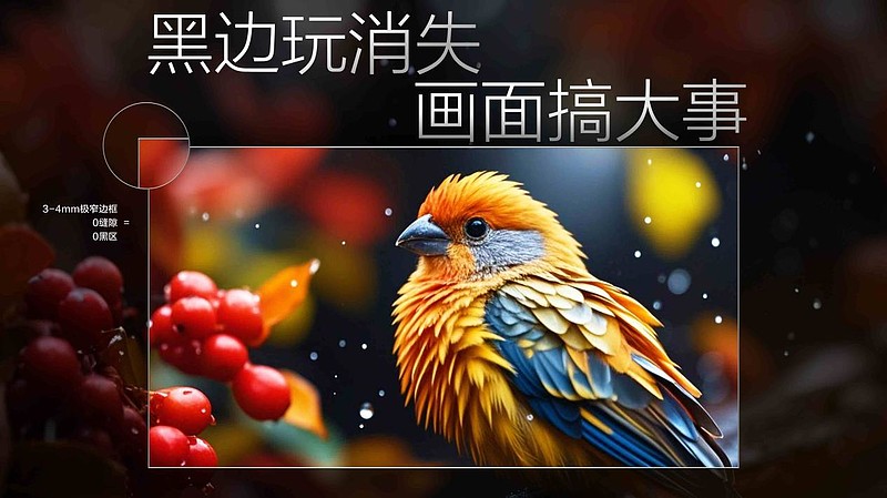 TCL发布Q10L系列 第四代液晶电视无黑边新境界-锋巢网