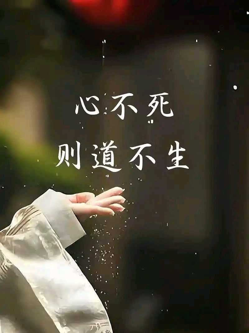 心不死,道不生
