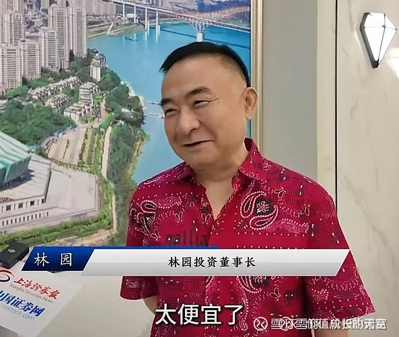 21:祖国强大,资产低估林园 身穿红色花衬衫,接受上海证券报采访,主要