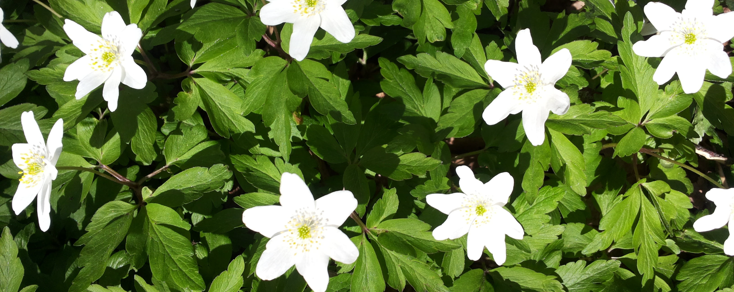 均值回归：价值投资的概率锚点在价值投资的理论体系中，均值回归理论如同隐藏在价格波动背后的引力定律，默默支配着资产价格向内在价值回归 的永恒运动。这一源...