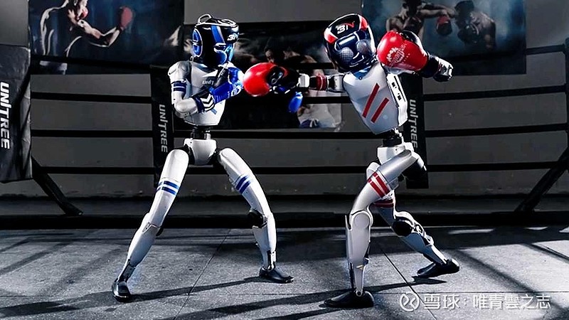 人形机器人(us:bk1557)