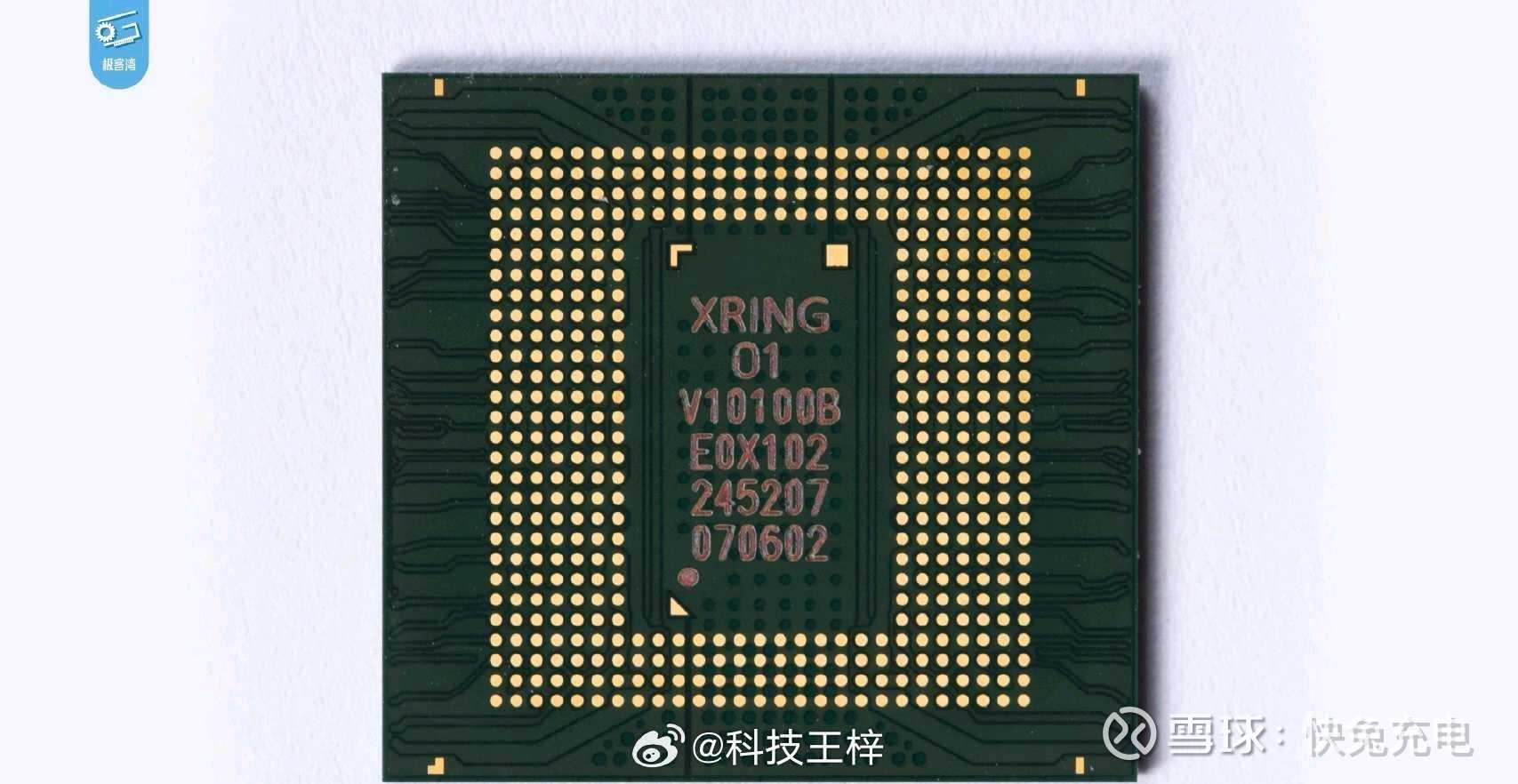 中国　雲南碁石　未使用 中国 雲南碁石 未使用 5亿年前古生物化石，现身云南一工地-