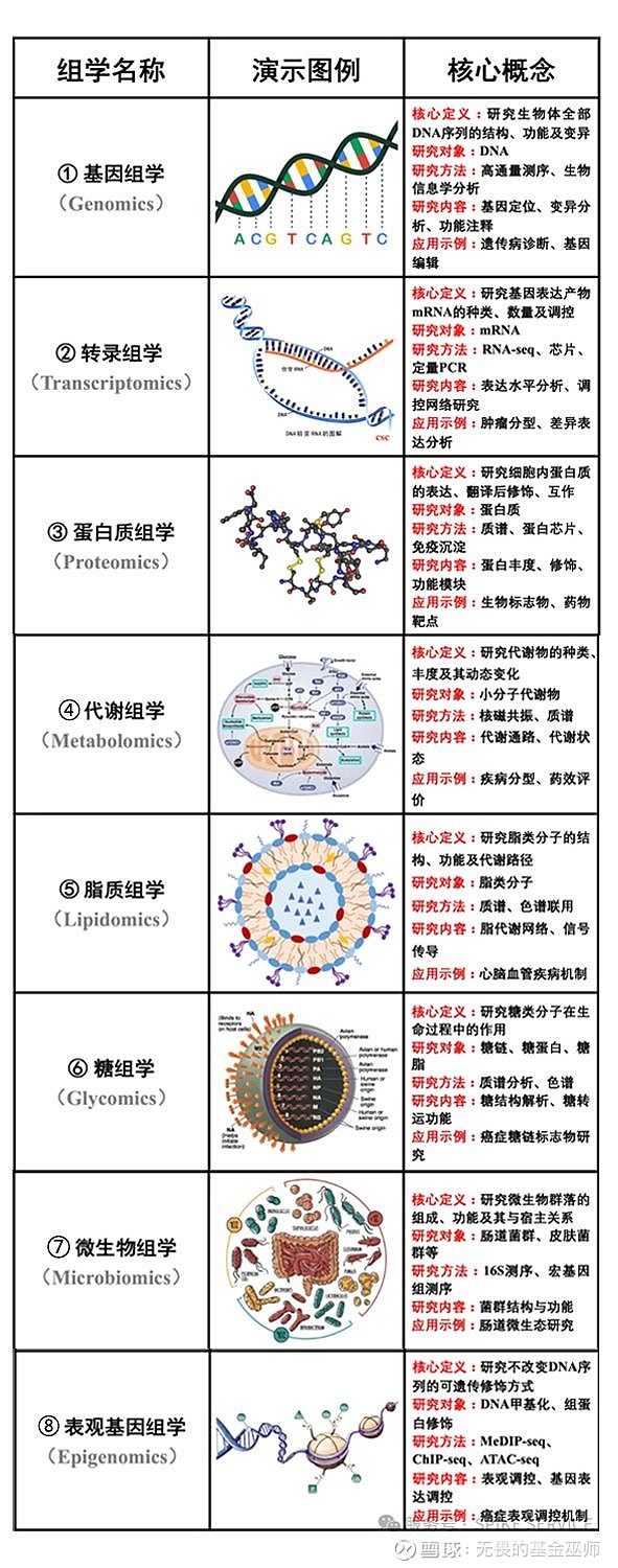 常见的8种组学 组学技术(Omics Technologies)是一种系统化的方法,用于研究生物系统中各组分(如基因、蛋白质、代谢物)的 ...