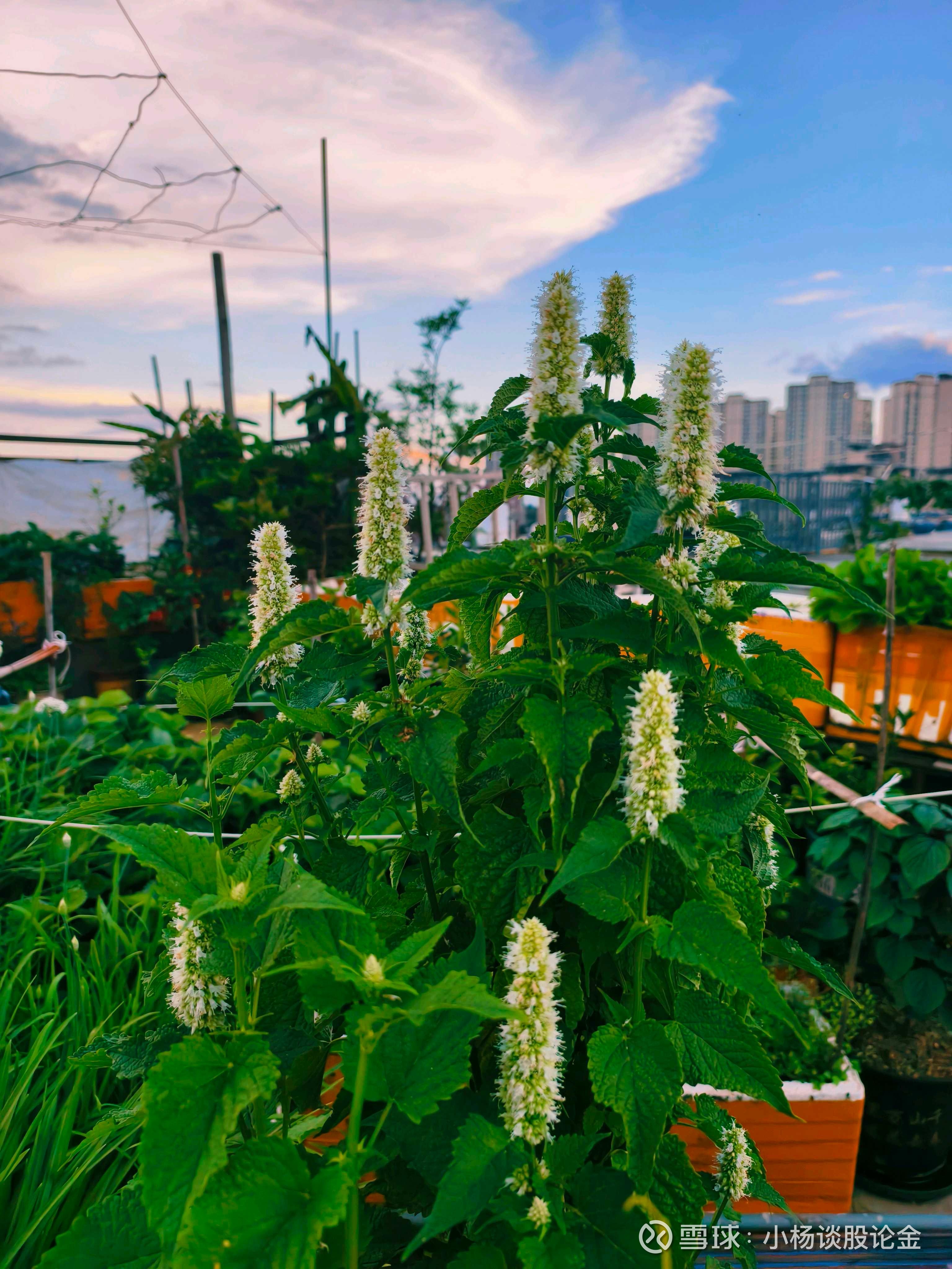 聊聊大而美法案的影响“大而美”法案（One Big Beautiful Bill Act）作为老特第二任期的核心立法，2025年5月22日，...