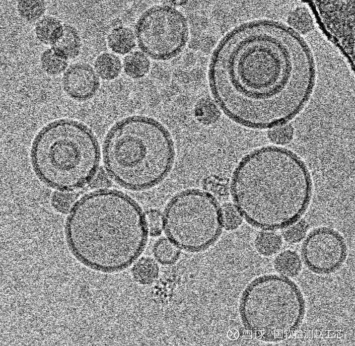 TEM的优势及应用 透射电子显微镜(Transmission Electron Microscope, TEM)作为现代材料科学和生命科学研 ...