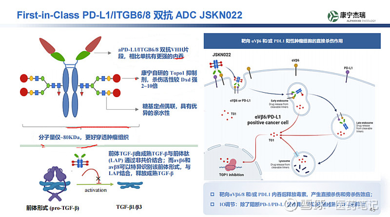 康宁杰瑞:PD-L1/ITGB6/8双靶点ADC申报临床 Armstrong 2025年8月2日,康宁杰瑞注射液JSKN022的临床试验申请 ...