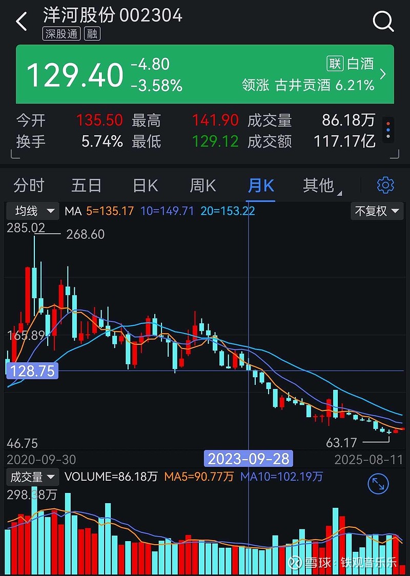 洋河股份股票分析文档