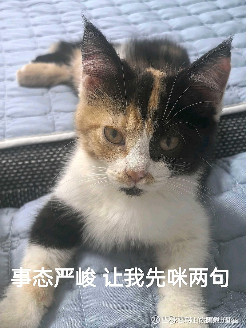 $根据成思危的虚拟经济模型,虚拟