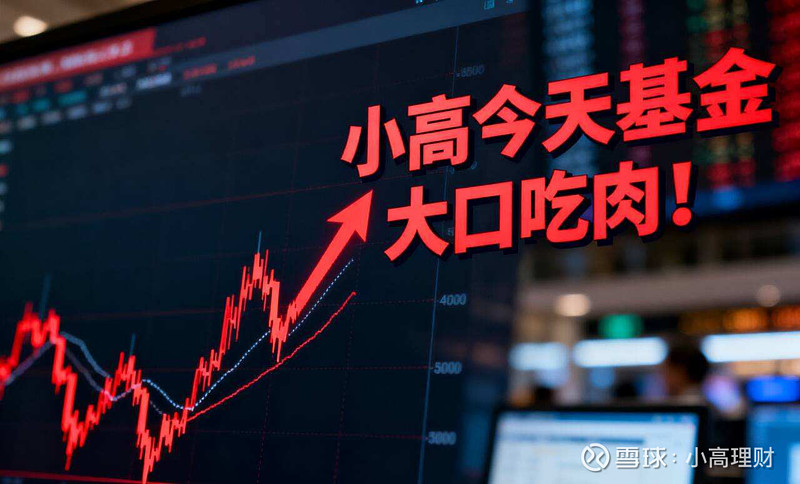 半导体大涨的原因！ 1.今晚基金收益更新啦！小高今天大口吃肉，基金整体预计盈利6.5万元左右（目前还没全部更新完）！ 小高记得前几年的时候 ...