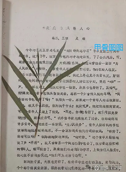 康方生物夏瑜当年的学雷锋作文 转今天看了篇推文,叫《广东女博士干出1200亿制药王国》,主人公夏瑜本硕就读于中山大学,后在英国纽卡斯尔大学获得 ...