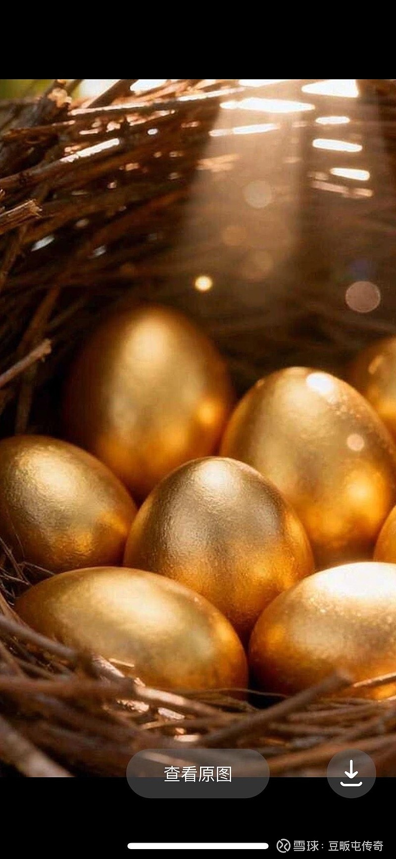 香饽饽香饽饽贵金属才是投资者的