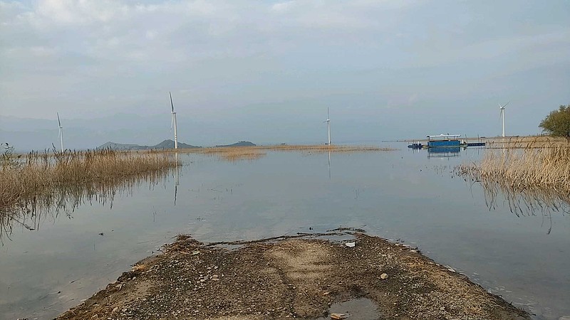 今天下午来钓鱼了，开启q4钓鱼