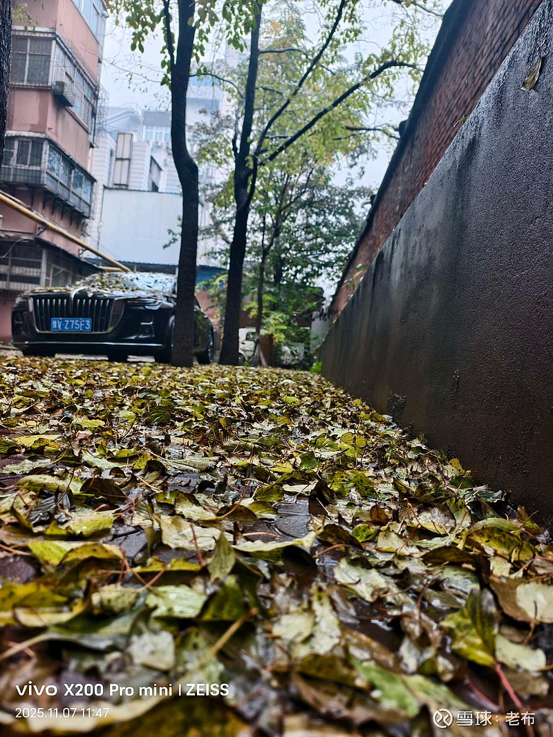 山僧不知数甲子，一叶落知天下秋