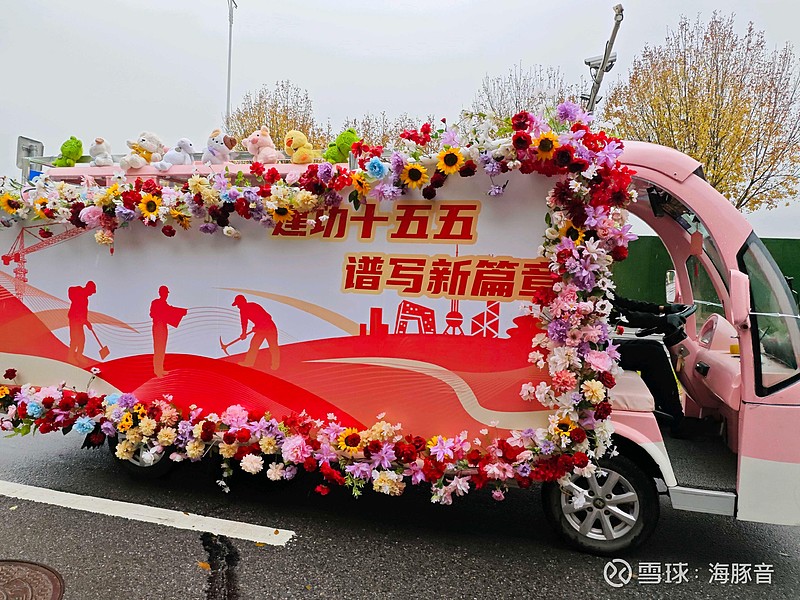 今天海豚住的这个小镇有点热闹，