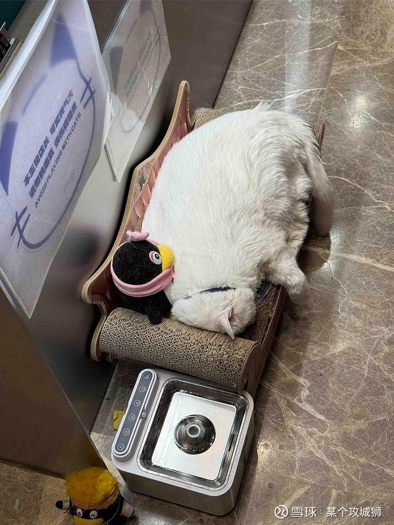 什么叫做选择大于努力，这就是活