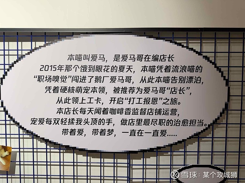 什么叫做选择大于努力，这就是活