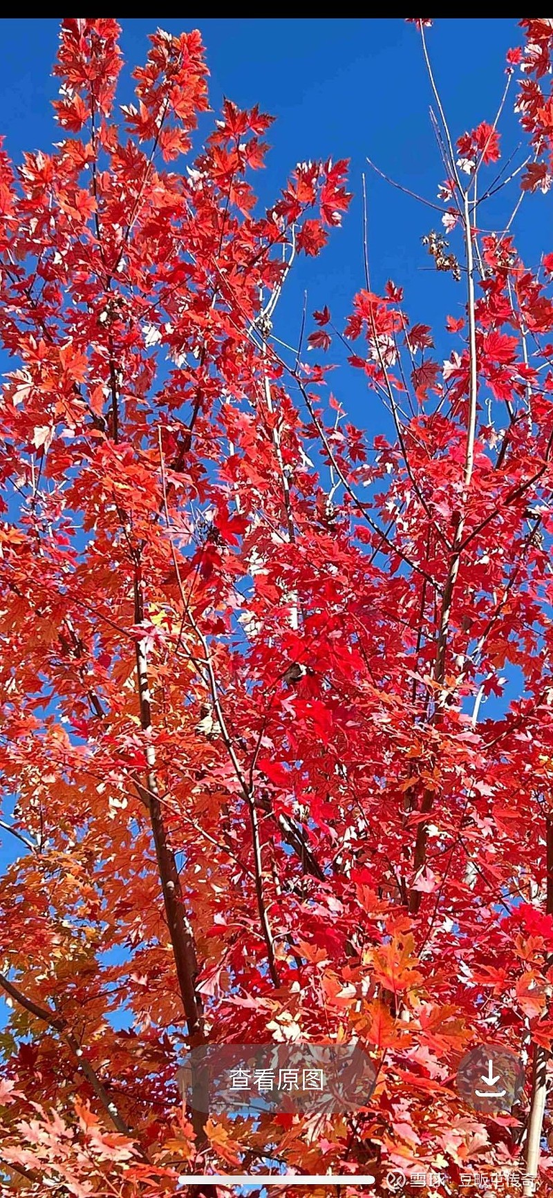 长线是金,中线是银<br/>随